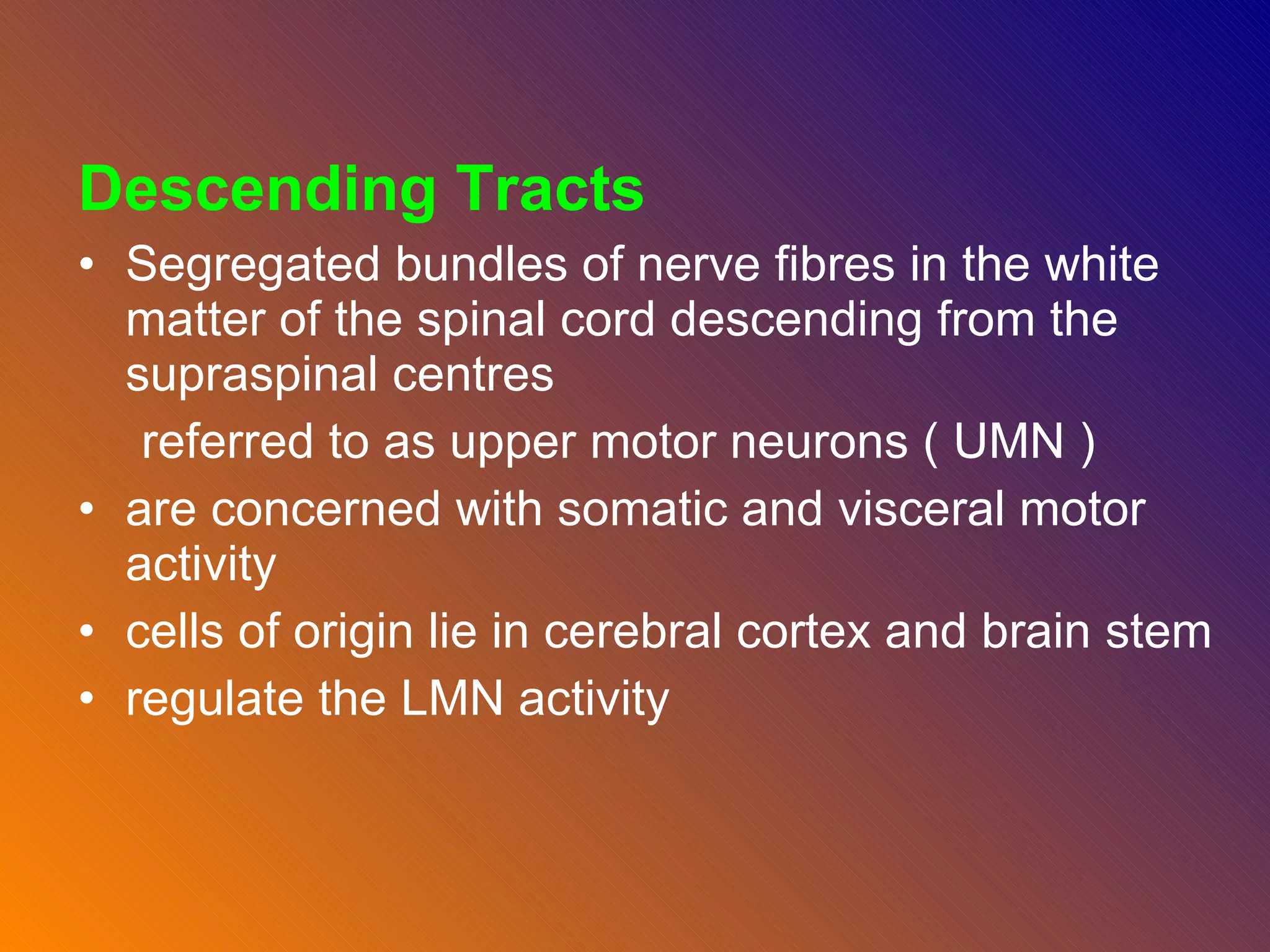 Descending Tracts Segregated bundles of nerve fibres in the white matter of the spinal cord descending from the supraspinal centres referred to as upper motor neurons ( UMN ) are concerned with somatic and visceral motor activity cells of origin lie in cerebral cortex and brain stem  regulate the LMN activity 