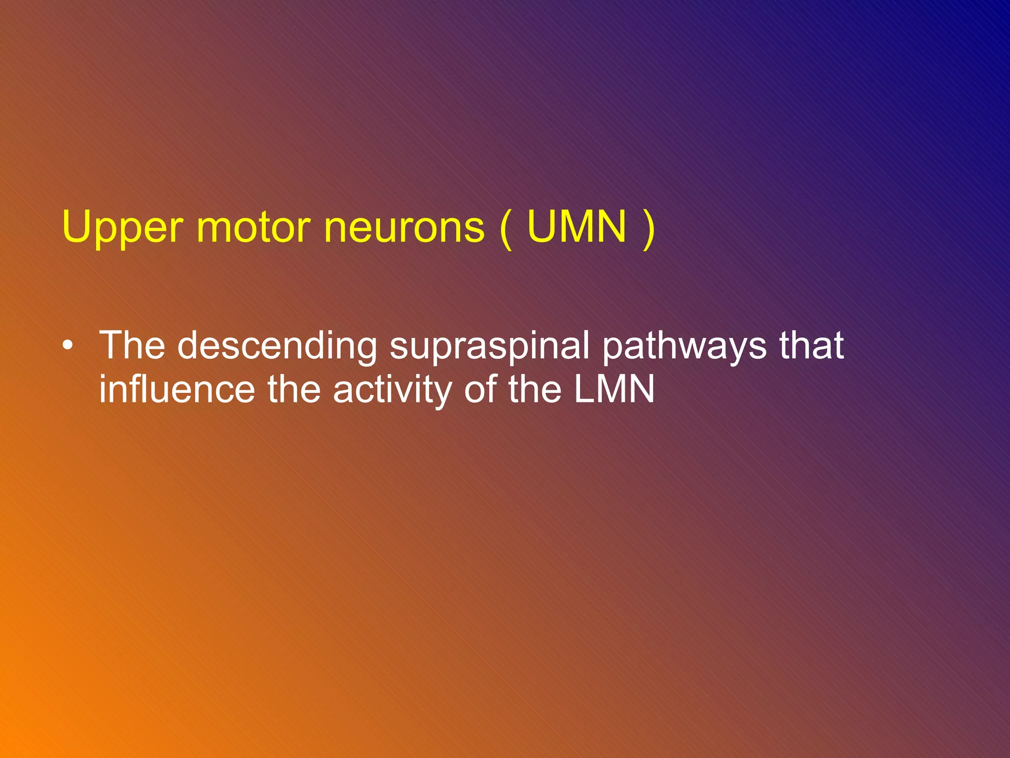 Upper motor neurons ( UMN ) The descending supraspinal pathways that influence the activity of the LMN  