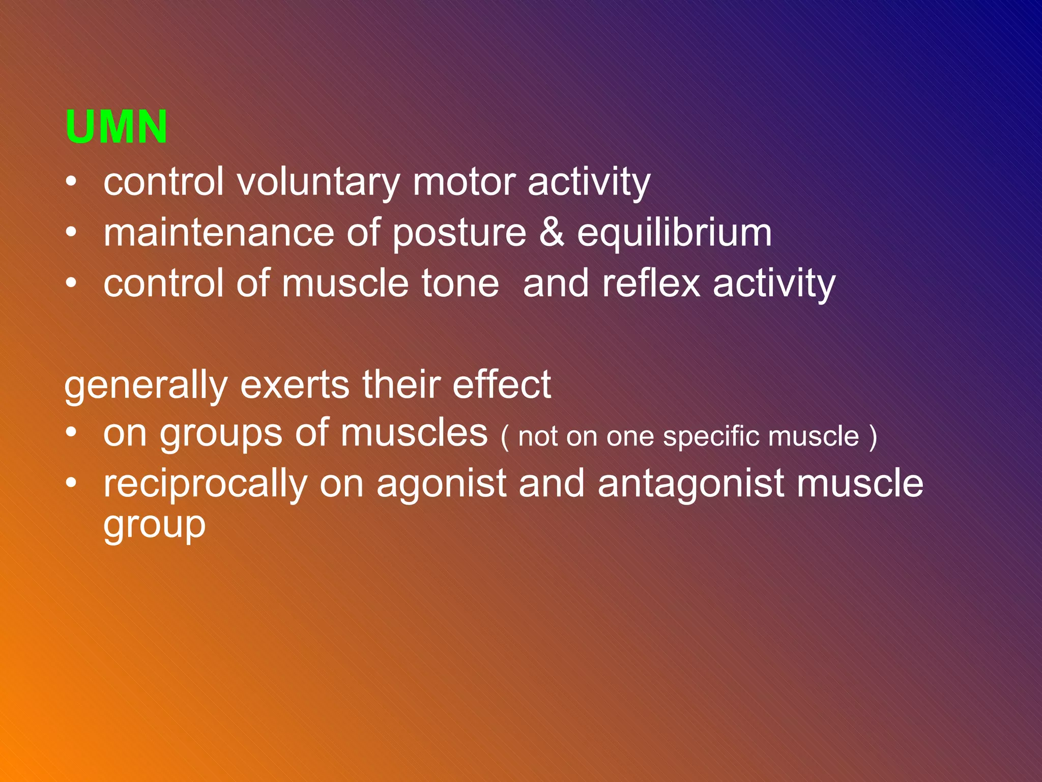 UMN control voluntary motor activity maintenance of posture & equilibrium  control of muscle tone  and reflex activity generally exerts their effect  on groups of muscles  ( not on one specific muscle )  reciprocally on agonist and antagonist muscle group  