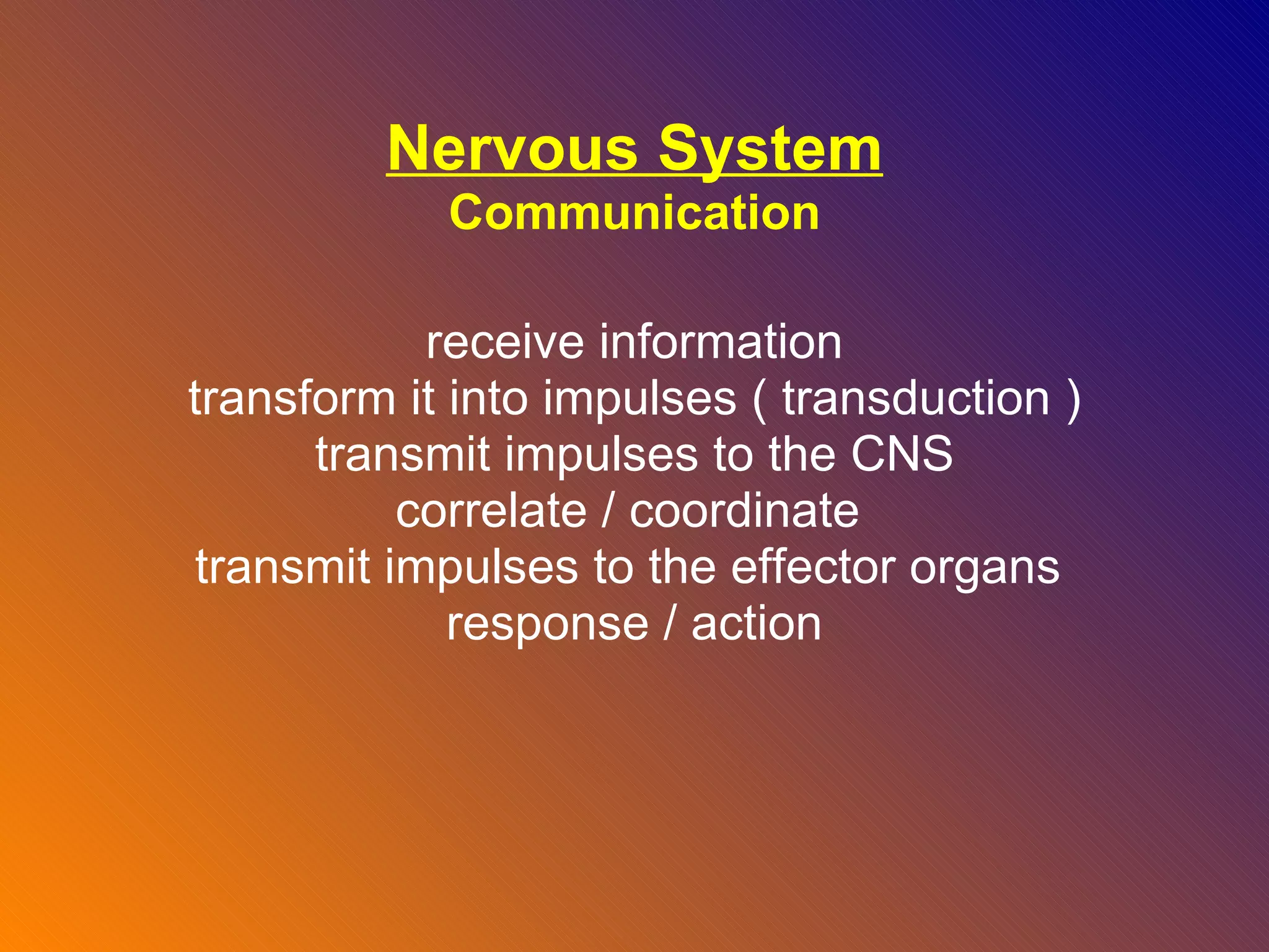Nervous System Communication receive information transform it into impulses ( transduction ) transmit impulses to the CNS correlate / coordinate  transmit impulses to the effector organs  response / action 