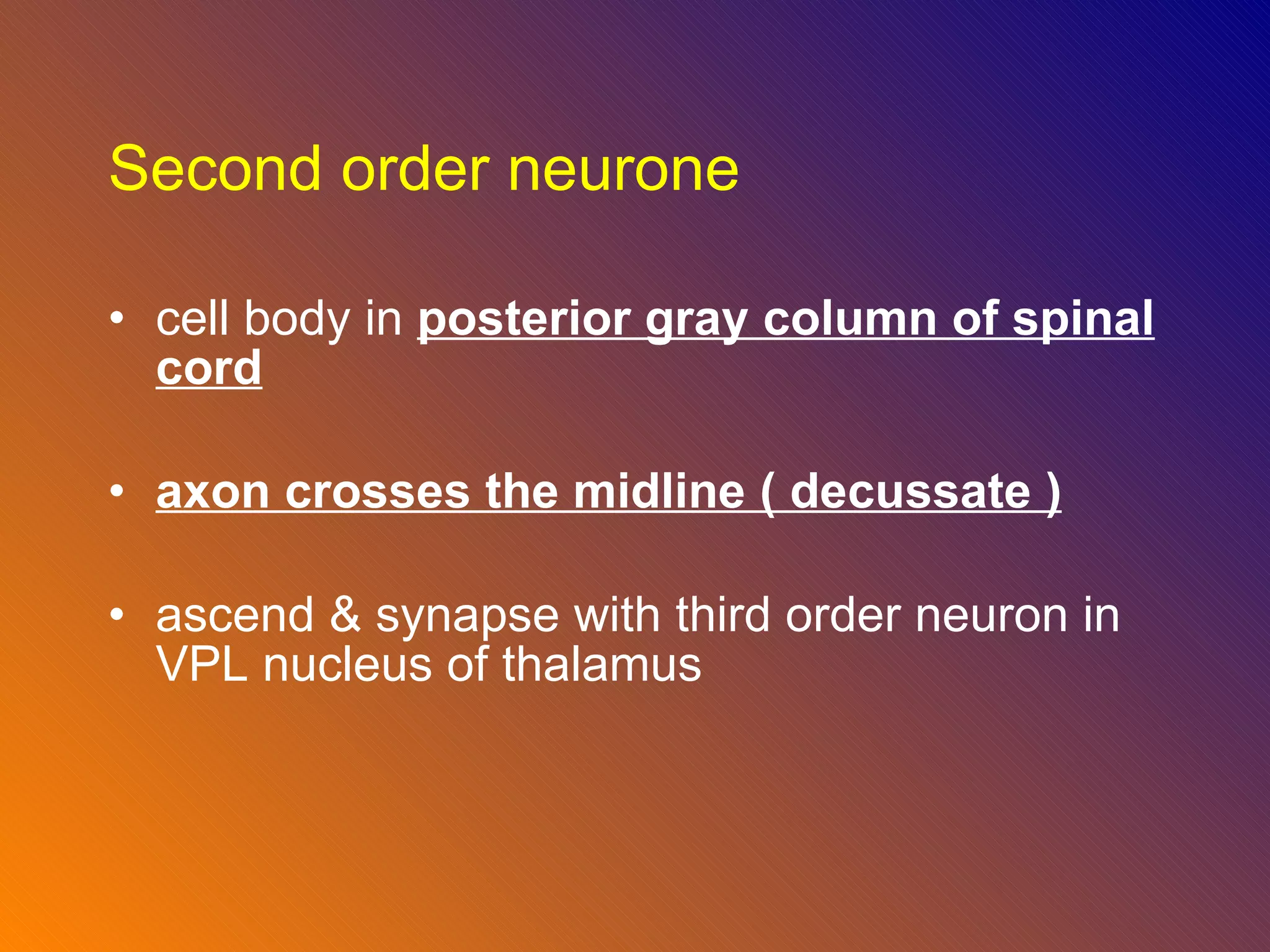 Second order neurone cell body in  posterior gray column of spinal cord axon crosses the midline ( decussate ) ascend & synapse with third order neuron in VPL nucleus of thalamus 