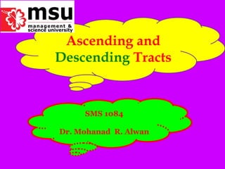 Ascending and  Descending  Tracts SMS 1084 Dr. Mohanad  R. Alwan 