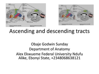 Ascending and descending tracts
Obaje Godwin Sunday
Department of Anatomy
Alex Ekwueme Federal University Ndufu
Alike, Ebonyi State, +2348068638121
 