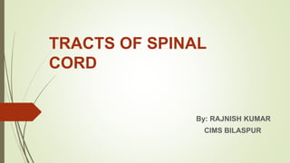 TRACTS OF SPINAL
CORD
By: RAJNISH KUMAR
CIMS BILASPUR
 