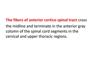 Tracts of spinal cord..............2.pdf