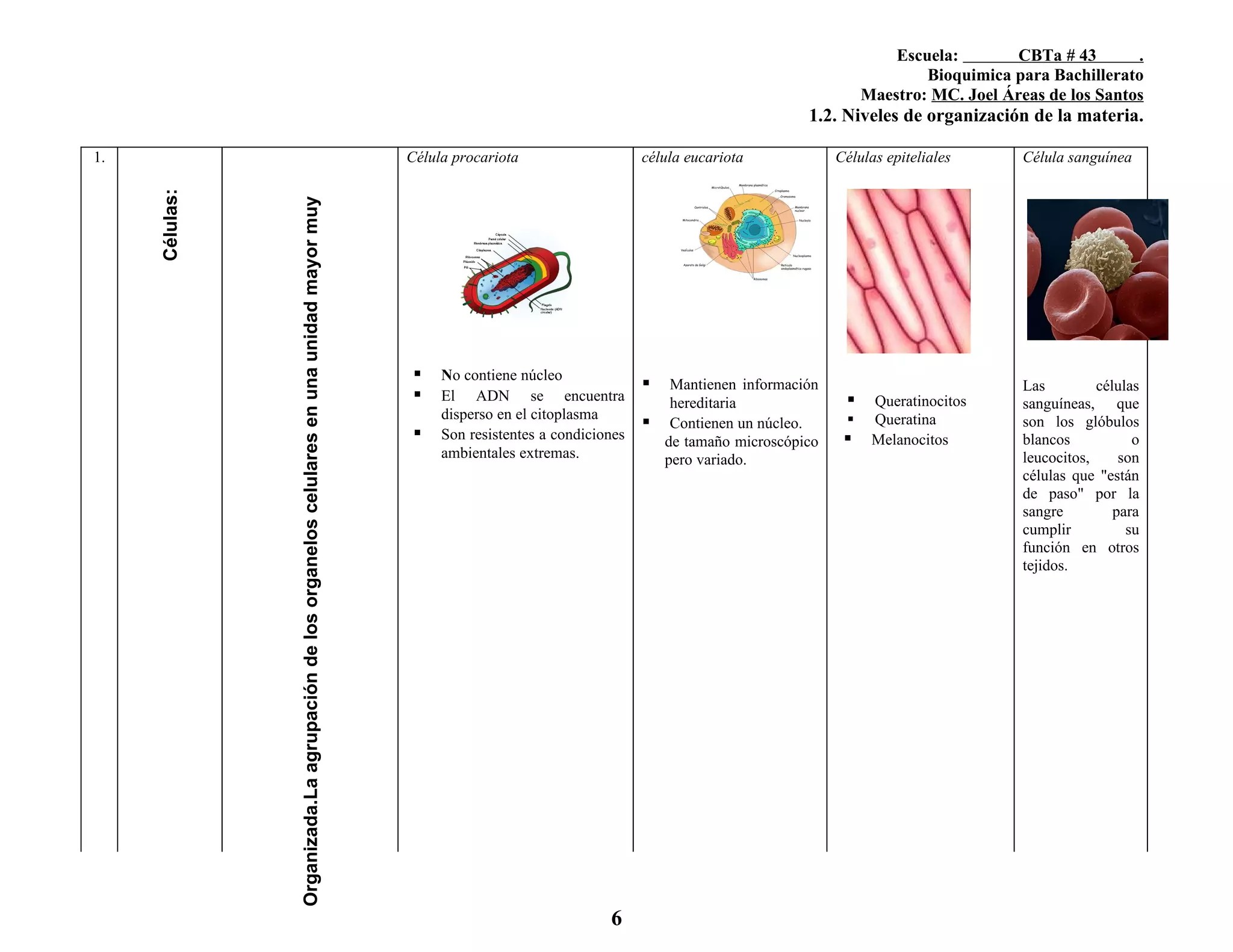 4. Bioelementos