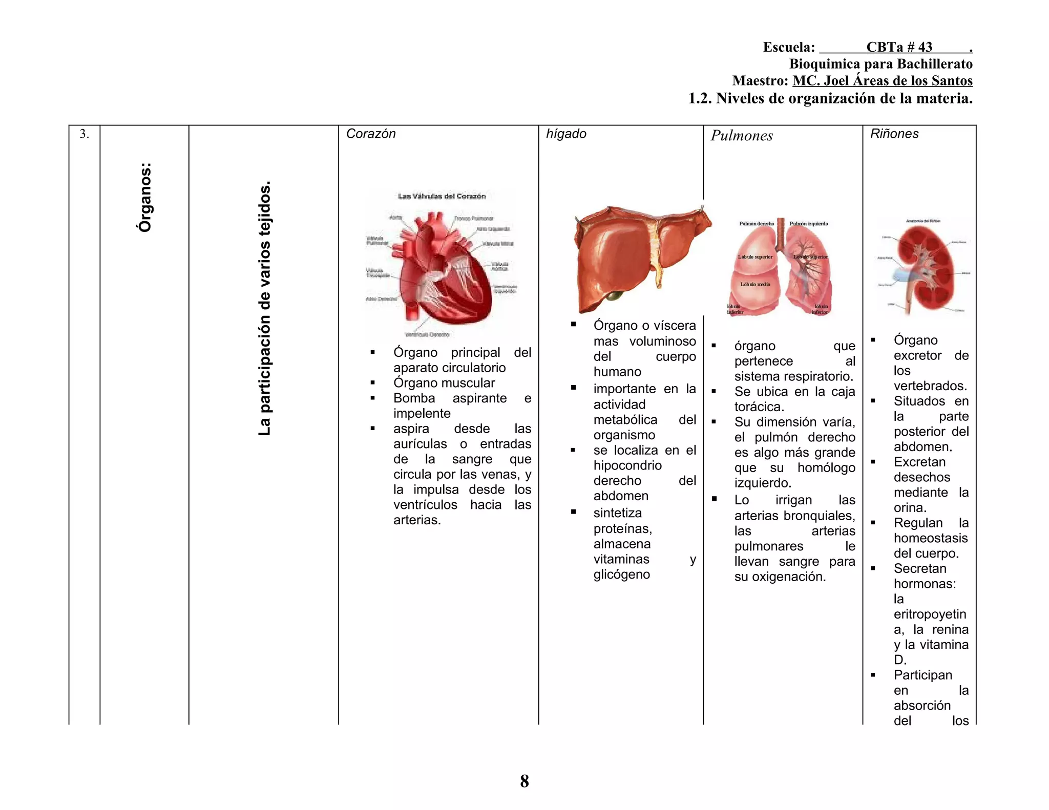 4. Bioelementos