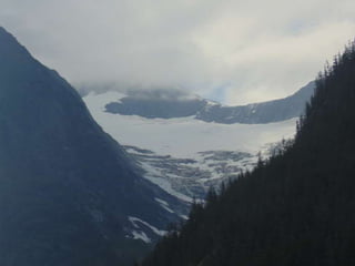 Tracy Arm Fiord in Summer Months