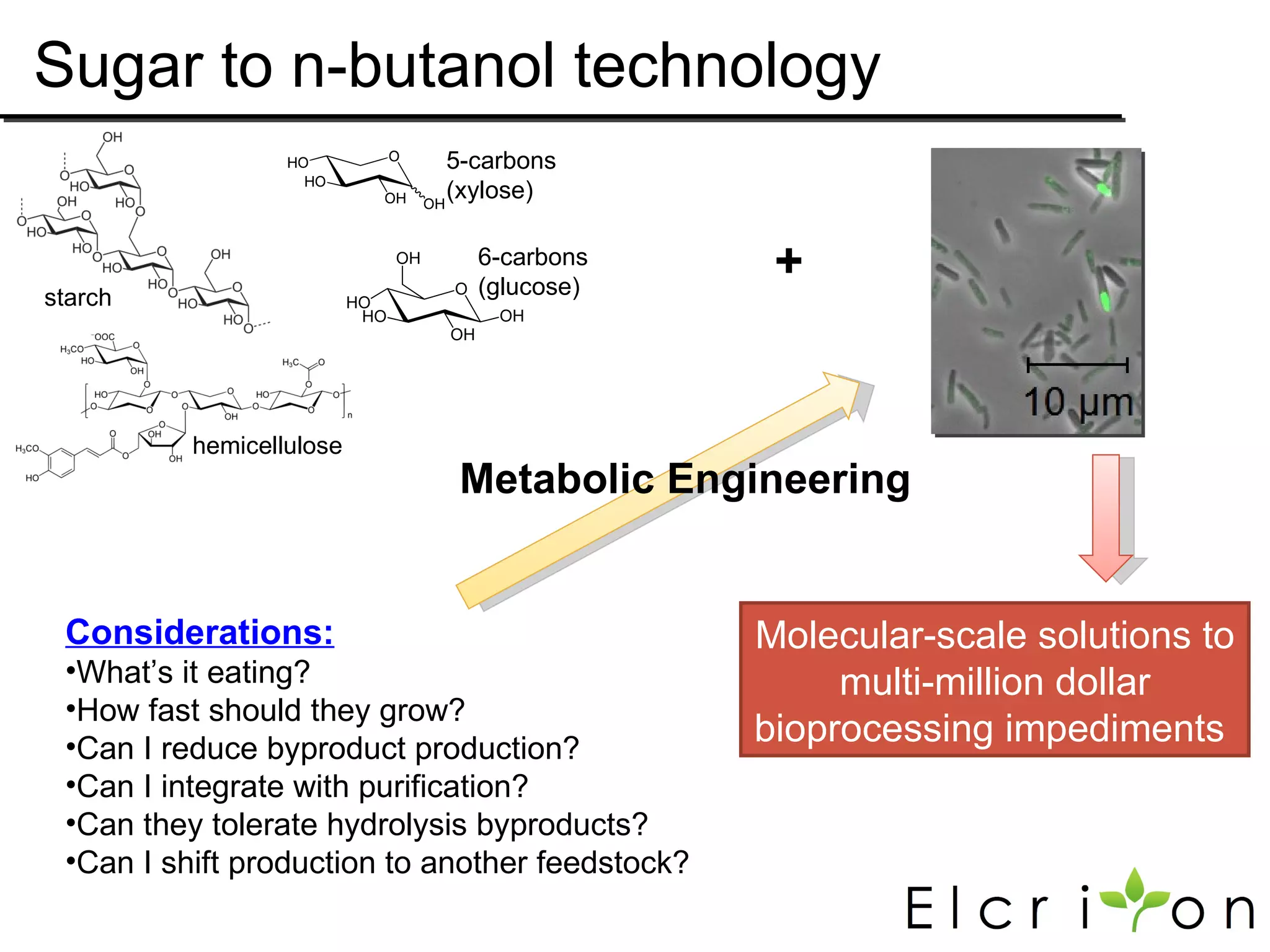 Sugar to n-butanol technology
                            5-carbons
                            (xylose)

                              6-carbons
                              (glucose)
                                                  +
starch




          hemicellulose
                             Metabolic Engineering


 Considerations:                                 Molecular-scale solutions to
 •What’s it eating?                                   multi-million dollar
 •How fast should they grow?
 •Can I reduce byproduct production?
                                                 bioprocessing impediments
 •Can I integrate with purification?
 •Can they tolerate hydrolysis byproducts?
 •Can I shift production to another feedstock?
 