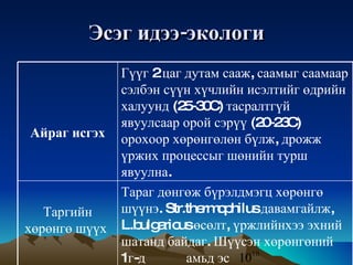Эсэг   идээ - экологи Айраг   исгэх Гүүг  2  цаг   дутам   сааж ,  саамыг   саамаар   сэлбэн   сүүн   хүчлийн   исэлтийг   өдрийн   халуунд  (25-30C)  тасралтгүй   явуулсаар   орой   сэрүү  (20-23C)  орохоор   хөрөнгөлөн   бүлж ,  дрожж   үржих   процессыг   шөнийн   турш   явуулна .  Таргийн   хөрөнгө   шүүх   Тараг   дөнгөж   бүрэлдмэгц   хөрөнгө   шүүнэ . Str.thermophilus  давамгайлж , L.bulgaricus  өсөлт ,  үржлийнхээ   эхний   шатанд   байдаг .  Шүүсэн   хөрөнгөний  1 г - д   амьд   эс 