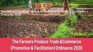 The Farmers’ Produce Trade & Commerce( Promotion & facilitation )
Ordinance 2020
 