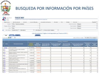 BUSQUEDA POR INFORMACIÓN POR PAÍSES
 
