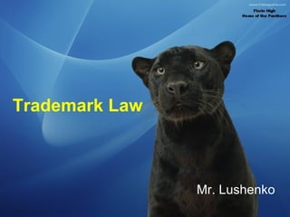 Trademark Law Mr. Lushenko 
