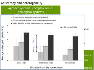 Anisotropy and heterogeneity  <ul><li>Anisotropy </li></ul><ul><li>Ecological niches   </li></ul><ul><li>Landscape organis...