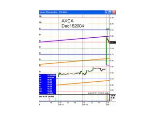 Traderbambu - Haladó 03 Bambulator