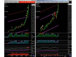 Traderbambu - Haladó 03 Bambulator