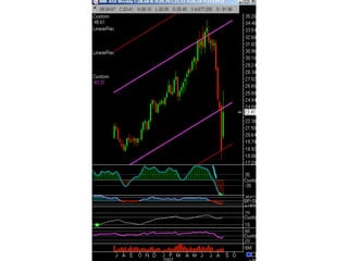 Traderbambu - Haladó 03 Bambulator