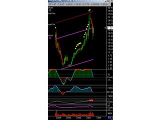 Traderbambu - Haladó 03 Bambulator