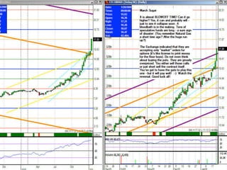 Traderbambu - Haladó 03 Bambulator