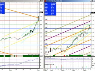 Traderbambu - Haladó 03 Bambulator