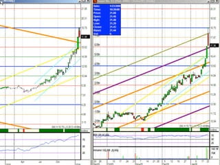 Traderbambu - Haladó 03 Bambulator