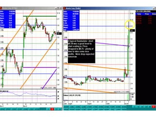 Traderbambu - Haladó 03 Bambulator