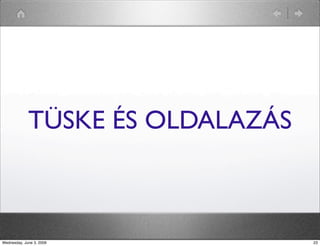 TÜSKE ÉS OLDALAZÁS 
Wednesday, June 3, 2009 23 
 