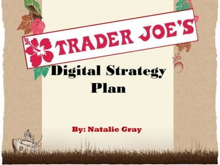 Digital Strategy
Plan
By: Natalie Gray

 