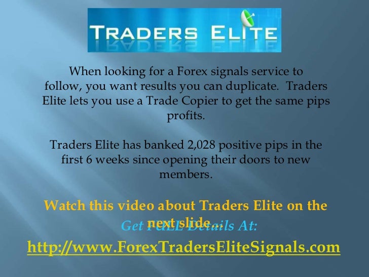 Follow forex signals
