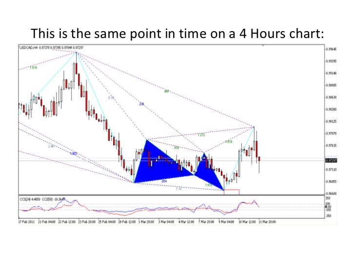 Forex coaching