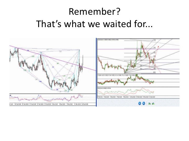 Forex coaching