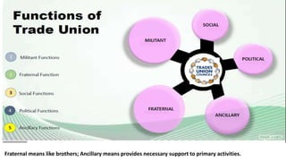 Fraternal means like brothers; Ancillary means provides necessary support to primary activities.
 