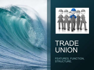TRADE
UNION
FEATURES, FUNCTION,
STRUCTURE.
 