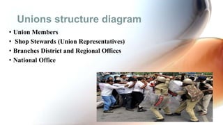 Unions structure diagram
• Union Members
• Shop Stewards (Union Representatives)
• Branches District and Regional Offices
• National Office
 