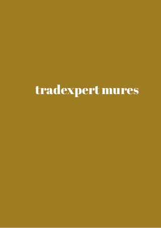 tradexpert mures 
 