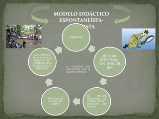 MODELO DIDÁCTICO
                  ESPONTANEÍSTA-
                     ACTIVISTA
                          OBSERVAR




 NO SE TIENEN                                   BUSCAR
EN CUENTA LAS
 IDEAS DE LOS                                 INFORMACI
ALUMNOS SINO                                  ÓN, DESCUB
SE ATIENDE SUS          SE CONSIDERA MÁS
   INTERESES            IMPORTANTE QUE EL
                                                  RIR
                        ALUMNO APRENDA




                                      SE     EVALÚA
          TÉCNICAS DE                 DESTREZAS DE
          TRABAJO DE                  OBSERVACIÓN
            CAMPO                     RECOGIDA DE
                                      DATOS,
 