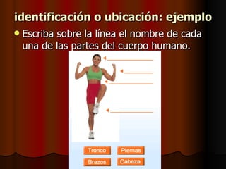 identificación o ubicación: ejemplo Escriba sobre la línea el nombre de cada una de las partes del cuerpo humano. 