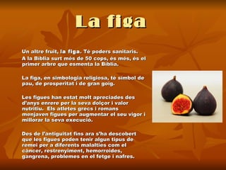 La figa   Un altre fruit,  la figa . Té poders sanitaris. A la Bíblia surt més de 50 cops, és més, és el primer arbre que esmenta la Bíblia.  La figa, en simbologia religiosa, té símbol de pau, de prosperitat i de gran goig.  Les figues han estat molt apreciades des d’anys enrere per la seva dolçor i valor nutritiu.  Els atletes grecs i romans menjaven figues per augmentar el seu vigor i millorar la seva execució.  Des de l’antiguitat fins ara s’ha descobert que les figues poden tenir algun tipus de remei per a diferents malalties com el càncer, restrenyiment, hemorroides, gangrena, problemes en el fetge i nafres.   