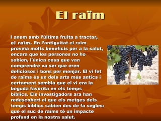 El raïm I anem amb l’última fruita a tractar , el raïm.  En l’antiguitat el raïm proveïa molts beneficis per a la salut, encara que les persones no ho sabien, l'única cosa que van comprendre va ser que eren deliciosos i bons per menjar. El vi fet de raïms és un dels arts més antics i certament sembla que el vi era la beguda favorita en els temps bíblics. Els investigadors ara han redescobert el que els metges dels temps bíblics sabien des de fa segles: que el suc de raïms té un impacte profund en la nostra salut.  