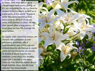 In Japan, wild lilies sprout up in
uncultivated fields every spring, so
it’s not surprising the lily is a favorite
symbol of Easter there, as well as in
many parts of the world. The pure
white blossoms remind us how
Jesus took us, dirty in sin as we
were, and washed us clean. As the
lilies sprout after a long winter, so
Jesus gives us new life through His
resurrection.
No Japão, lírios silvestres brotam em
campos não cultivados a cada
primavera, portanto, não é
surpreendente que o lírio seja um
símbolo favorito da Páscoa lá, assim
como em muitas partes do mundo.
Os brotos brancos e puros nos
lembram como Jesus nos recebeu,
sujos com o pecado e nos lavou.
Como os lírios brotam depois de um
longo inverno, Jesus nos dá nova
vida por Sua ressurreição.
 