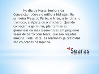 *
No dia de Nossa Senhora da
Conceição, põe-se o milho a hidratar. Na
primeira Missa do Parto, o trigo, a lentilha, o
tremoço, a alpista ou o chícharo. Quando
começam a germinar, plantam-se as
gramíneas ou mas leguminosas em pequenos
vasos de barro com terra, que são regados
amiúde. Pela Festa, as searinhas já crescidas
são colocadas na lapinha.
 