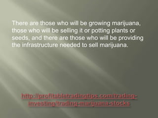 There are those who will be growing marijuana,
those who will be selling it or potting plants or
seeds, and there are those who will be providing
the infrastructure needed to sell marijuana.

 