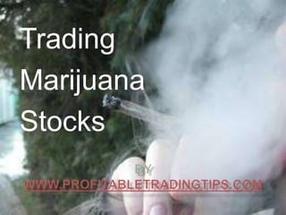 Trading
Marijuana
Stocks

 