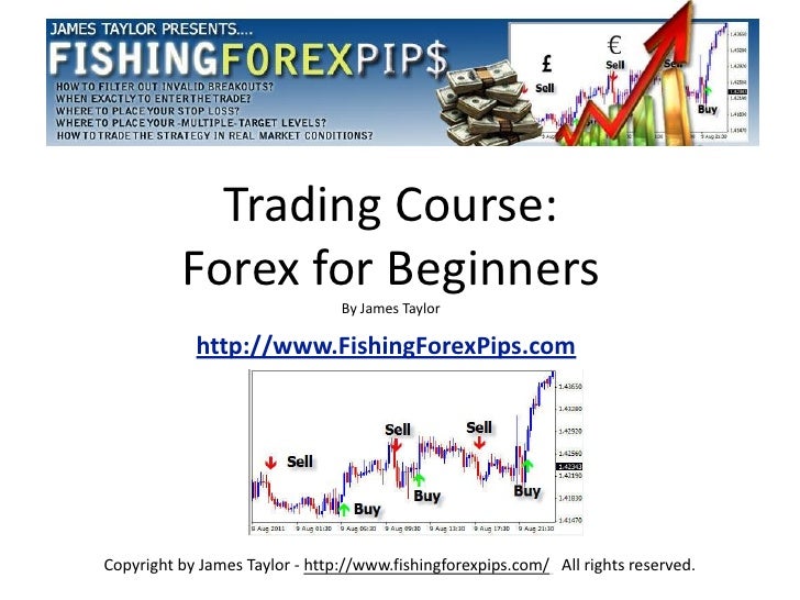 Best forex brokers in usa for beginners