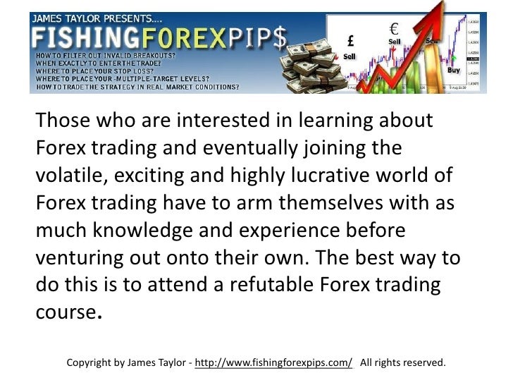 Best forex trading training for beginners