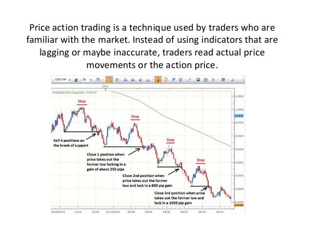 Forex price action trader