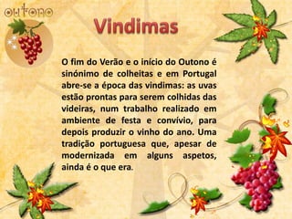 O fim do Verão e o início do Outono é
sinónimo de colheitas e em Portugal
abre-se a época das vindimas: as uvas
estão prontas para serem colhidas das
videiras, num trabalho realizado em
ambiente de festa e convívio, para
depois produzir o vinho do ano. Uma
tradição portuguesa que, apesar de
modernizada em alguns aspetos,
ainda é o que era.
 