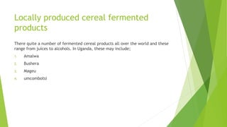 Locally produced cereal fermented
products
There quite a number of fermented cereal products all over the world and these
range from juices to alcohols. In Uganda, these may include;
1. Amalwa
2. Bushera
3. Mageu
4. umcombotsi
 