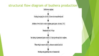 structural flow diagram of bushera production
 