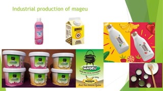 Industrial production of mageu
 